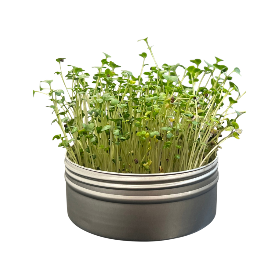 Untamed Health Mini Tini