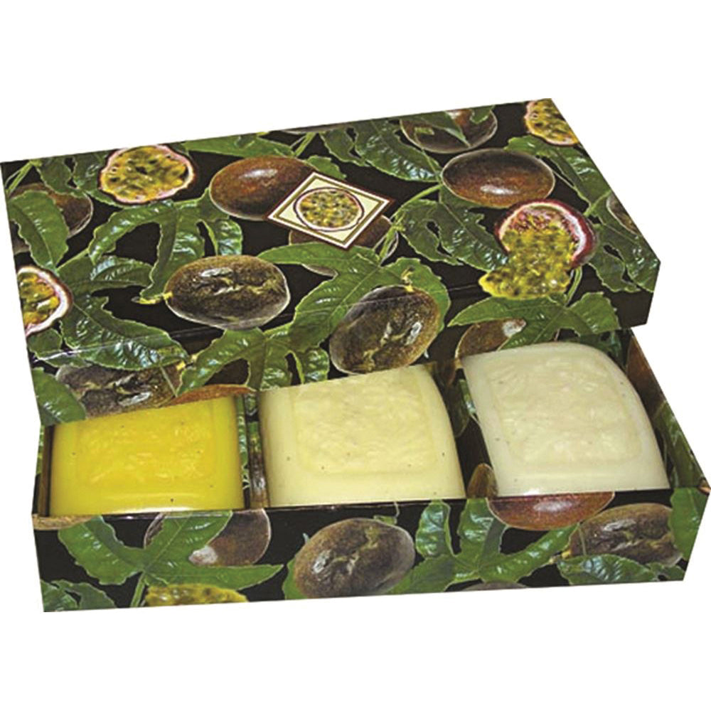 Clover Fields Gift Box Fresh