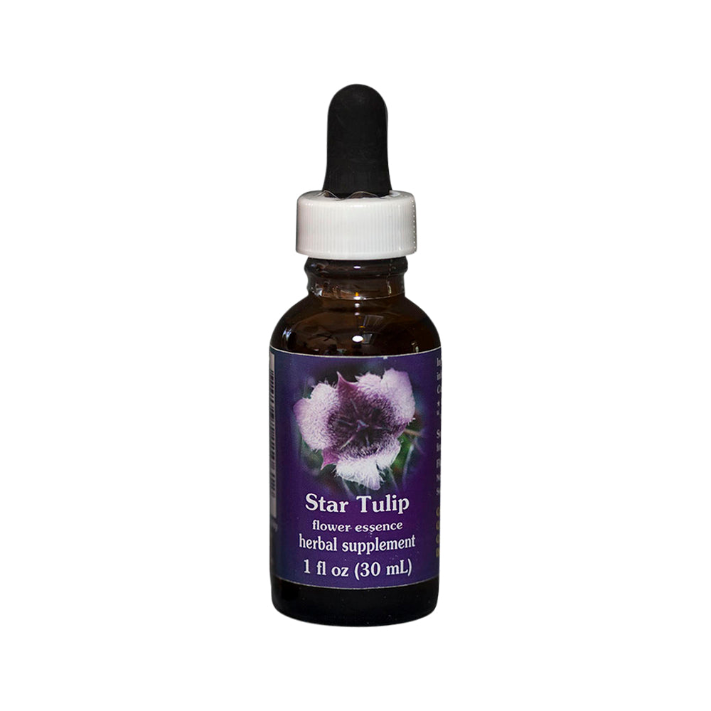 Fes Org Flower Ess Quintessent Star Tulip 30ml