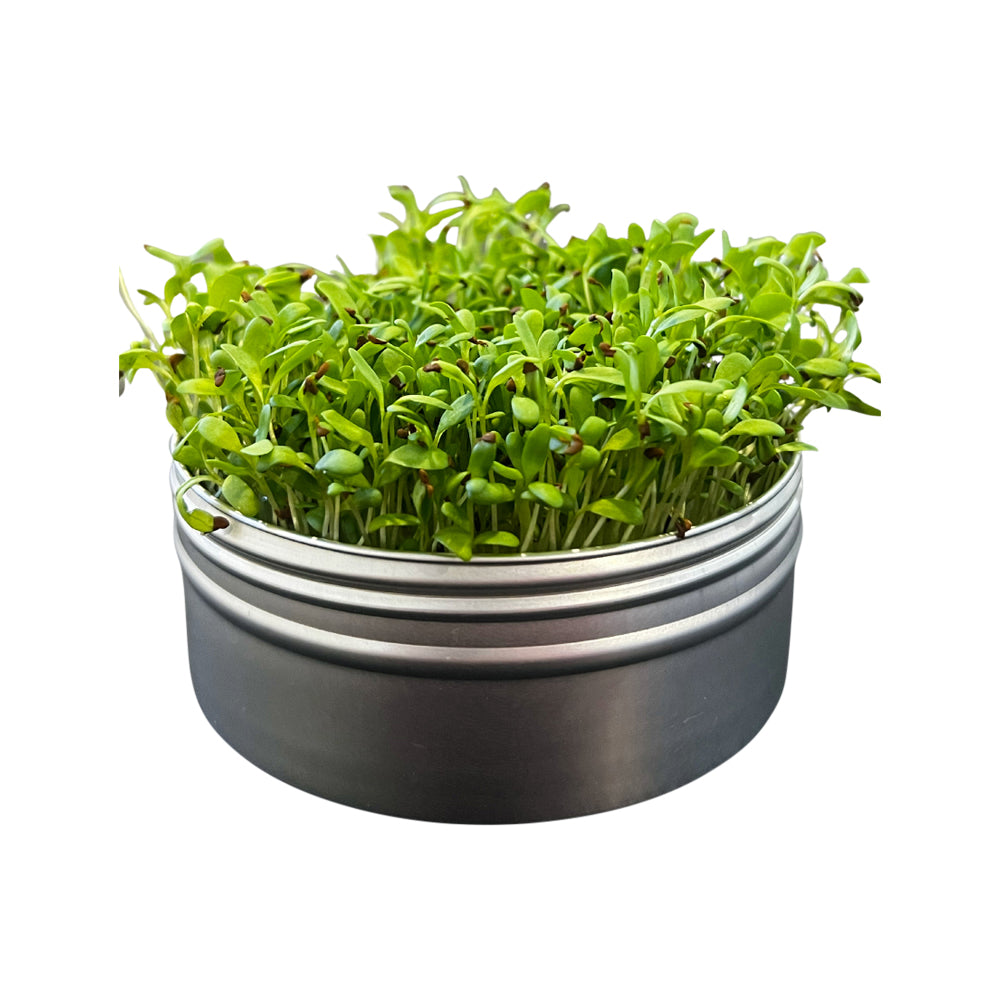 Untamed Health Mini Tini